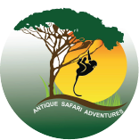 Antique Safari Adventures
