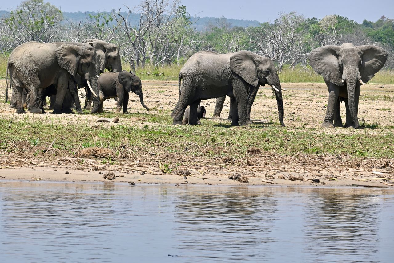 6-Day Big Five Safari in Uganda