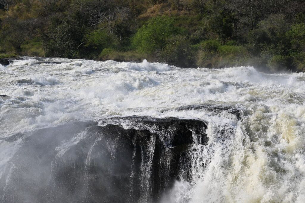 22-Day Gorillas Chimpanzees Great Migration And Hiking - Image 8