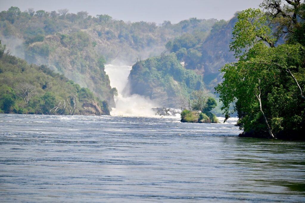 22-Day Gorillas Chimpanzees Great Migration And Hiking - Image 7