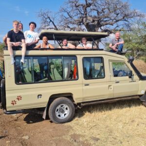 12-Day Great Migration, Gorillas & Chimpanzees