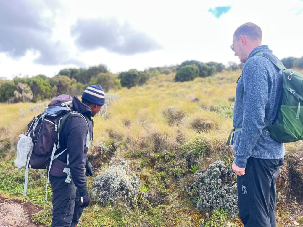 22-Day Gorillas Chimpanzees Great Migration And Hiking - Image 12