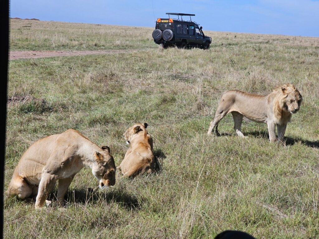 22-Day Gorillas Chimpanzees Great Migration And Hiking - Image 13