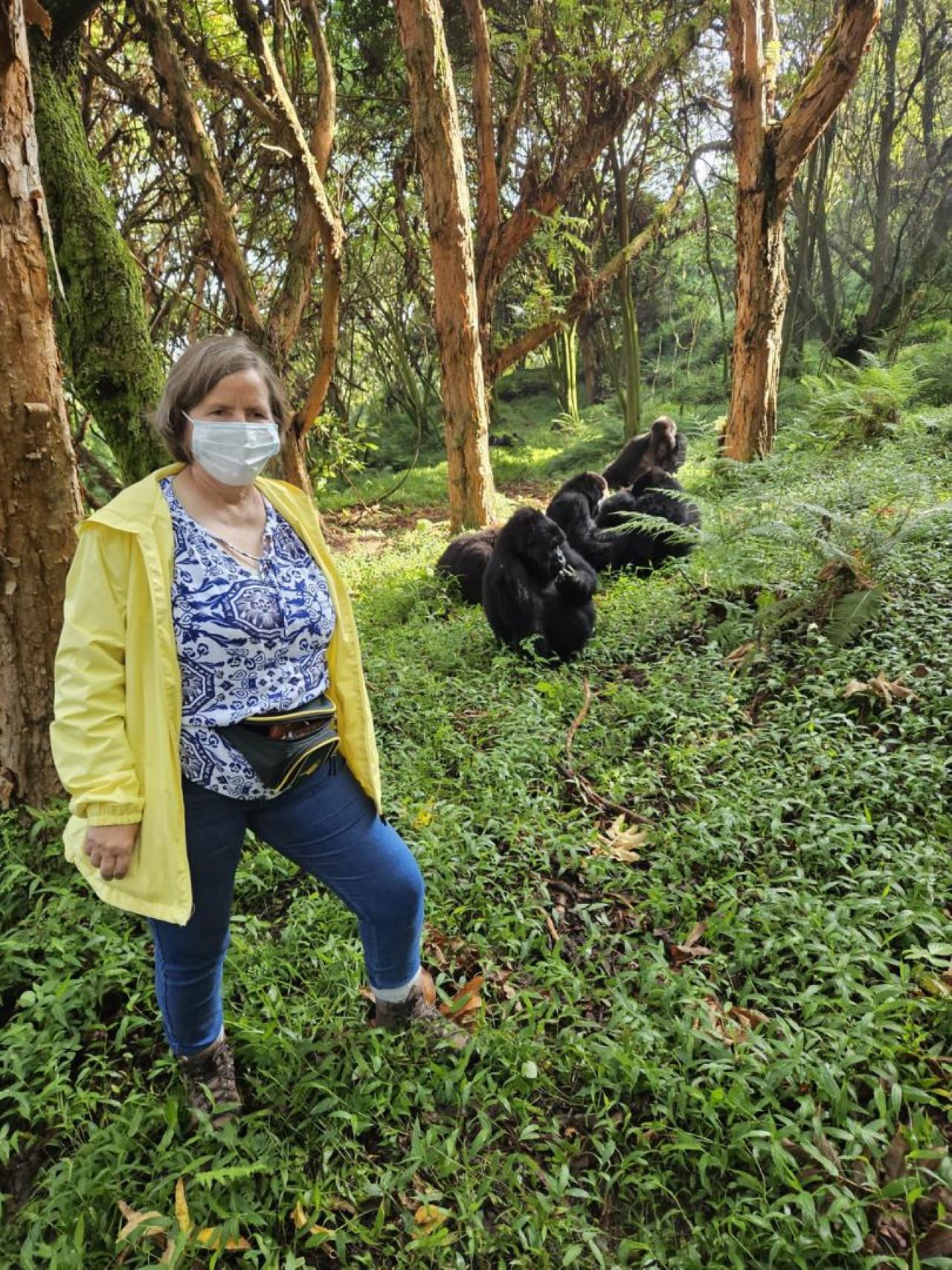 7-Day Uganda and Rwanda: Gorilla trekking and Big five safari