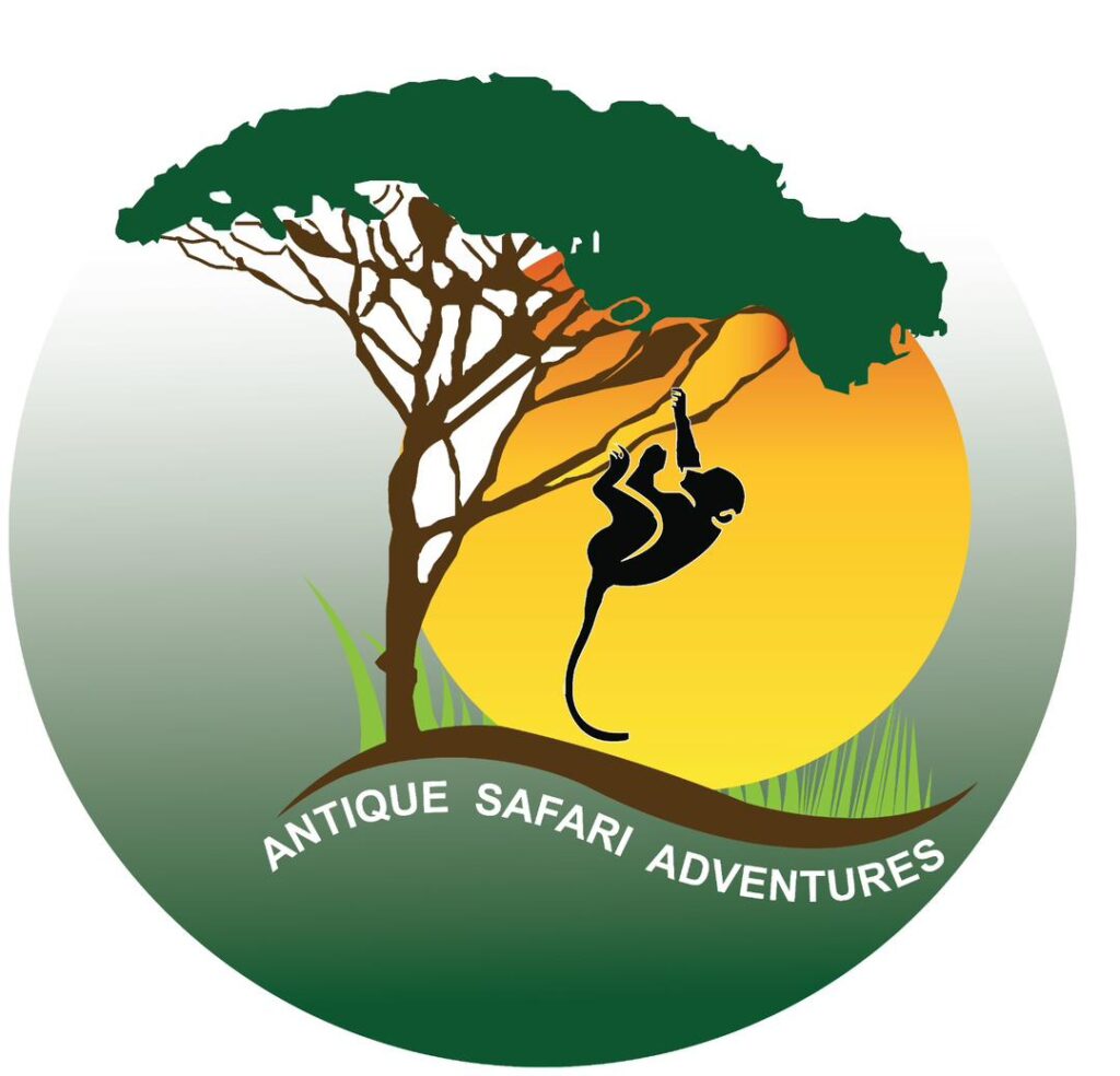Antique Safari Adventures